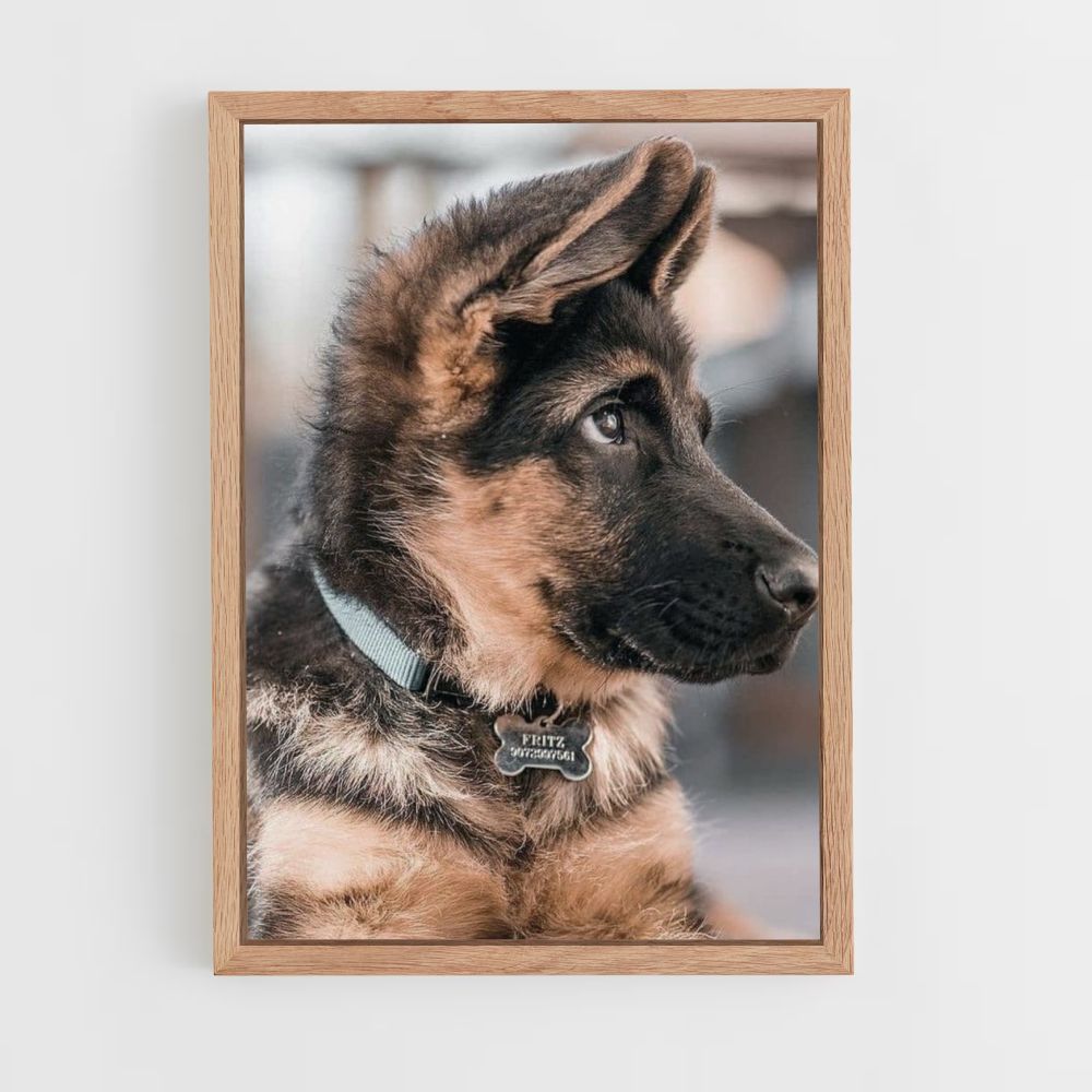 Adorable Dog Poster