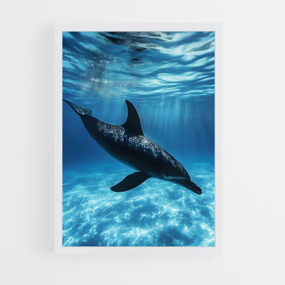 dolphin-4 cadre Blanc