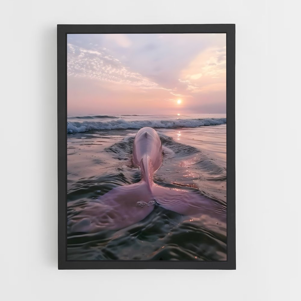 dolphin-6 cadre Noir
