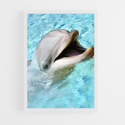dolphin-7 cadre Blanc