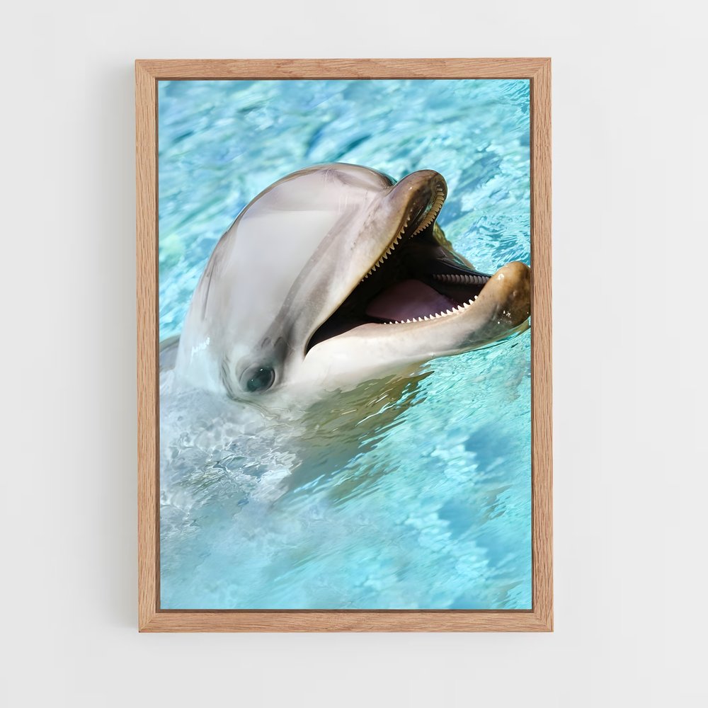 dolphin-7 cadre Bois clair