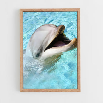 dolphin-7 cadre Bois clair