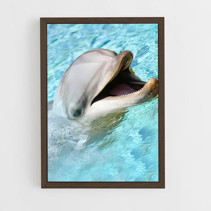 dolphin-7 cadre Bois foncé