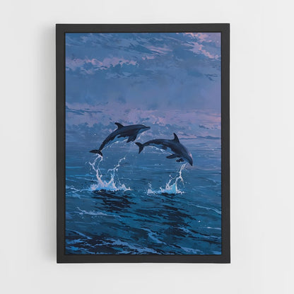 dolphin-8 cadre Noir
