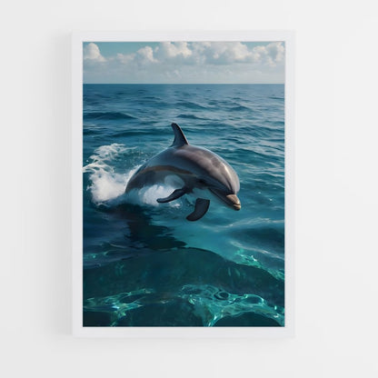dolphin-9 cadre Blanc