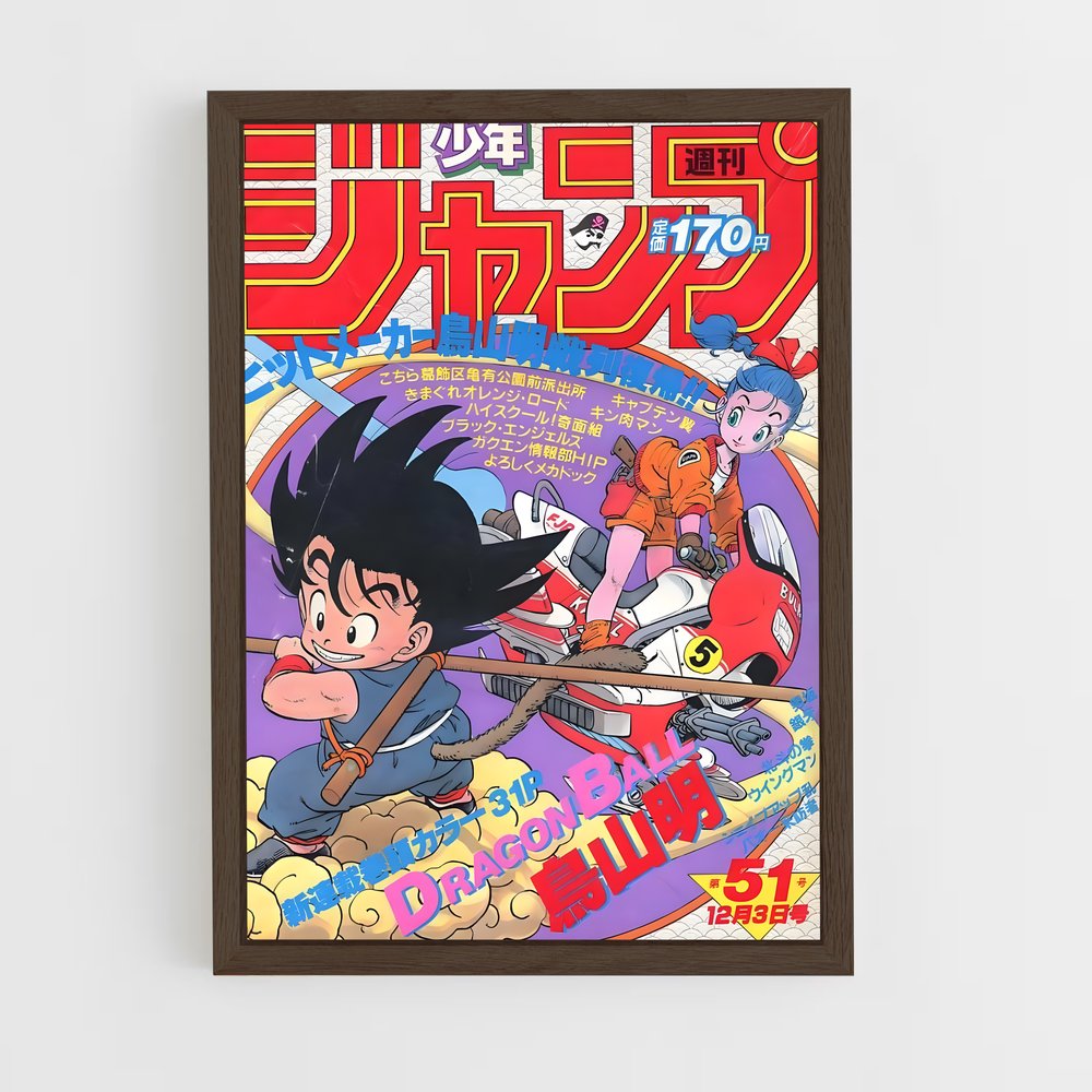 dragon-ball-12 cadre Bois foncé