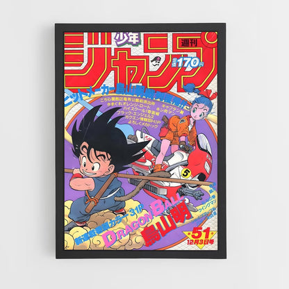 dragon-ball-12 cadre Noir