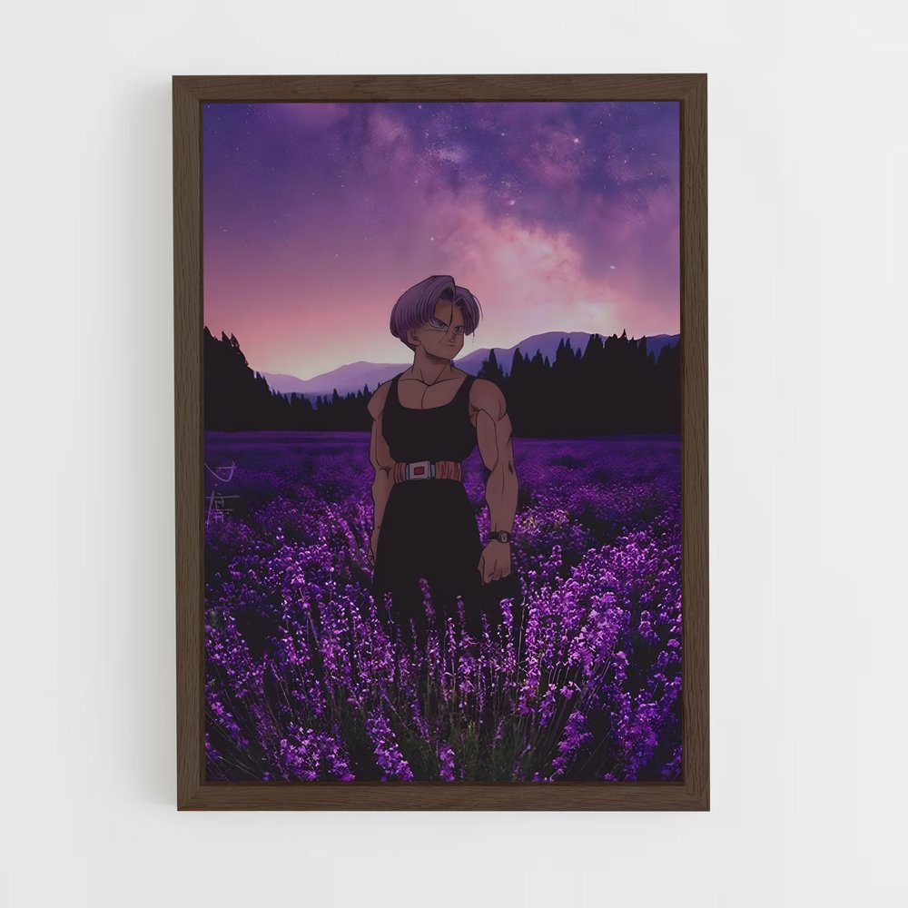 dragon-ball-14 cadre Bois foncé