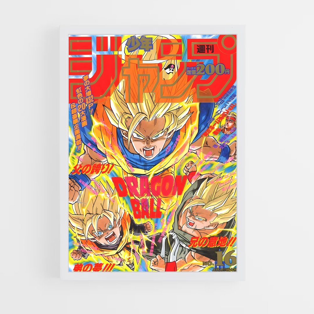 dragon-ball-2 cadre Blanc