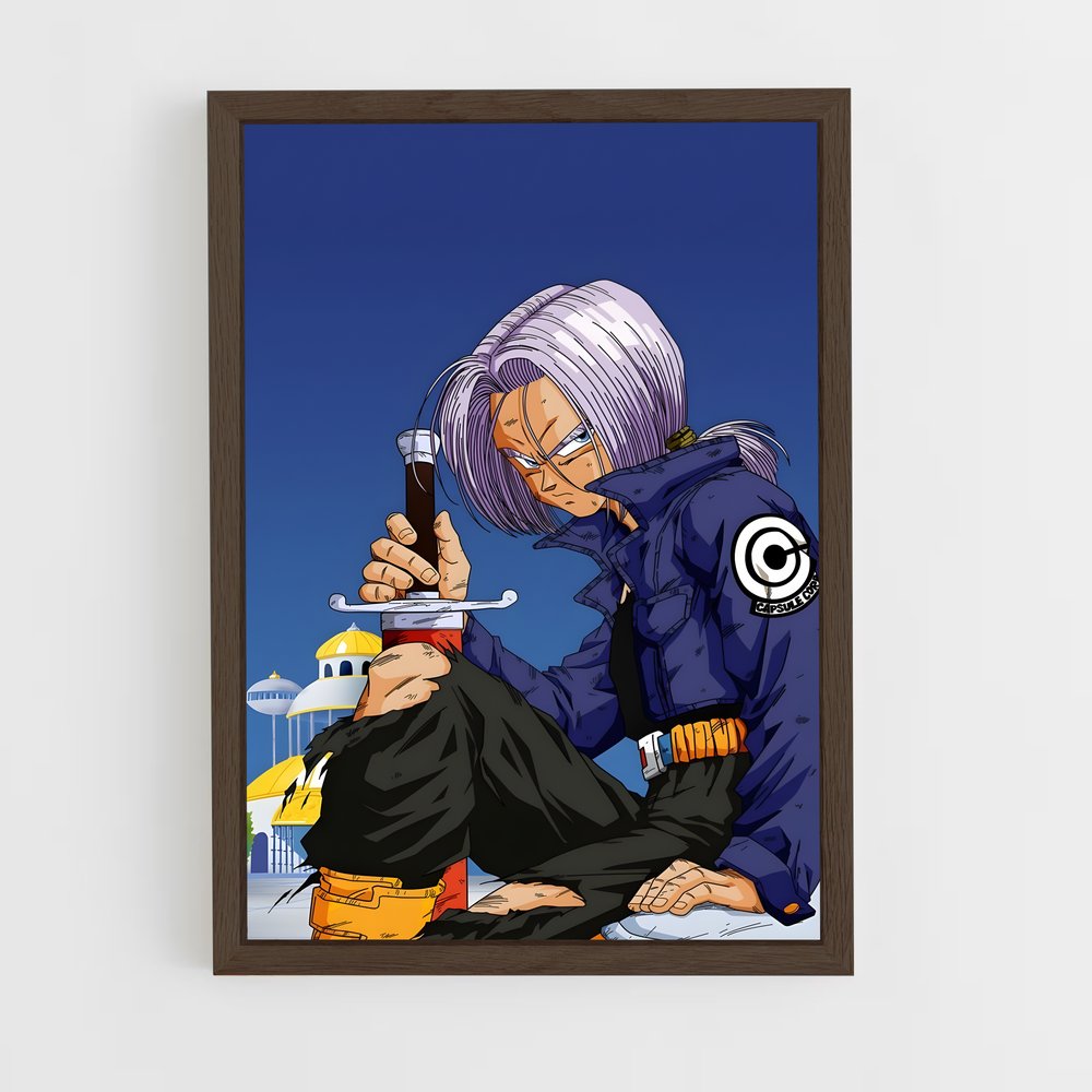 dragon-ball-27 cadre Bois foncé