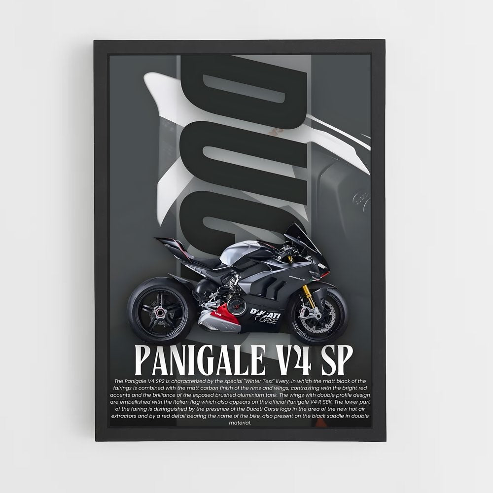 ducati-10 cadre Noir