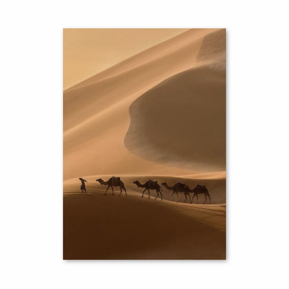 Desert Camels Poster