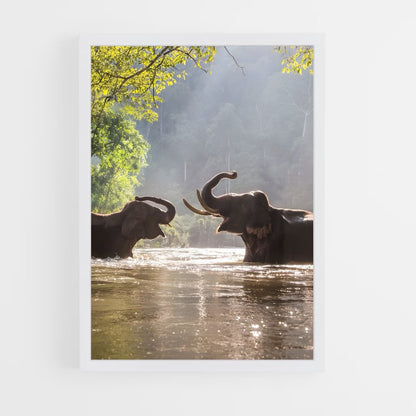 elephant-2 cadre Blanc