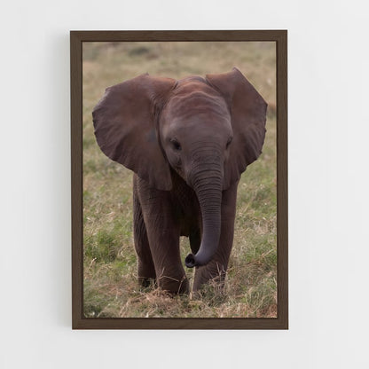 elephant-5 cadre Bois foncé