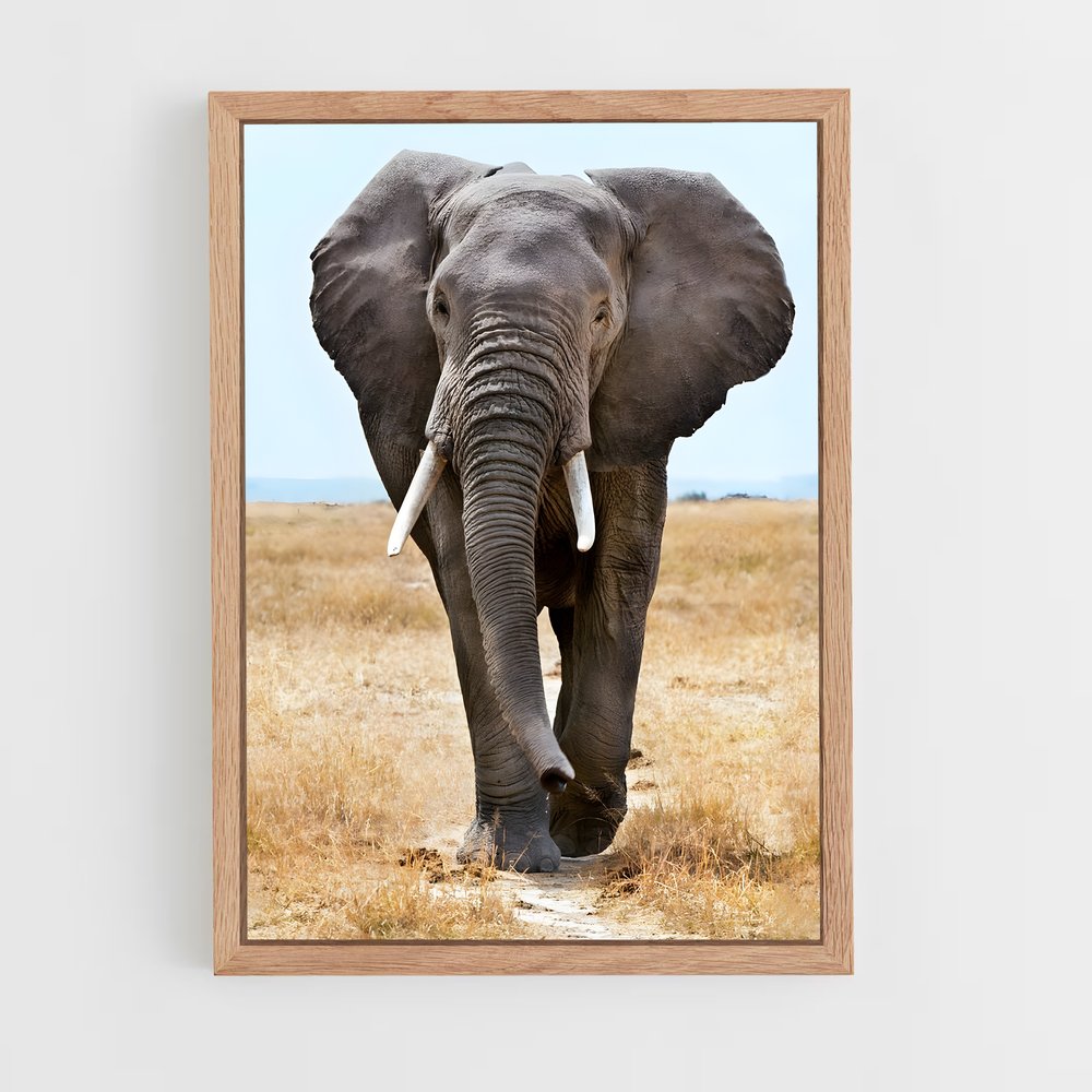 elephant-8 cadre Bois clair