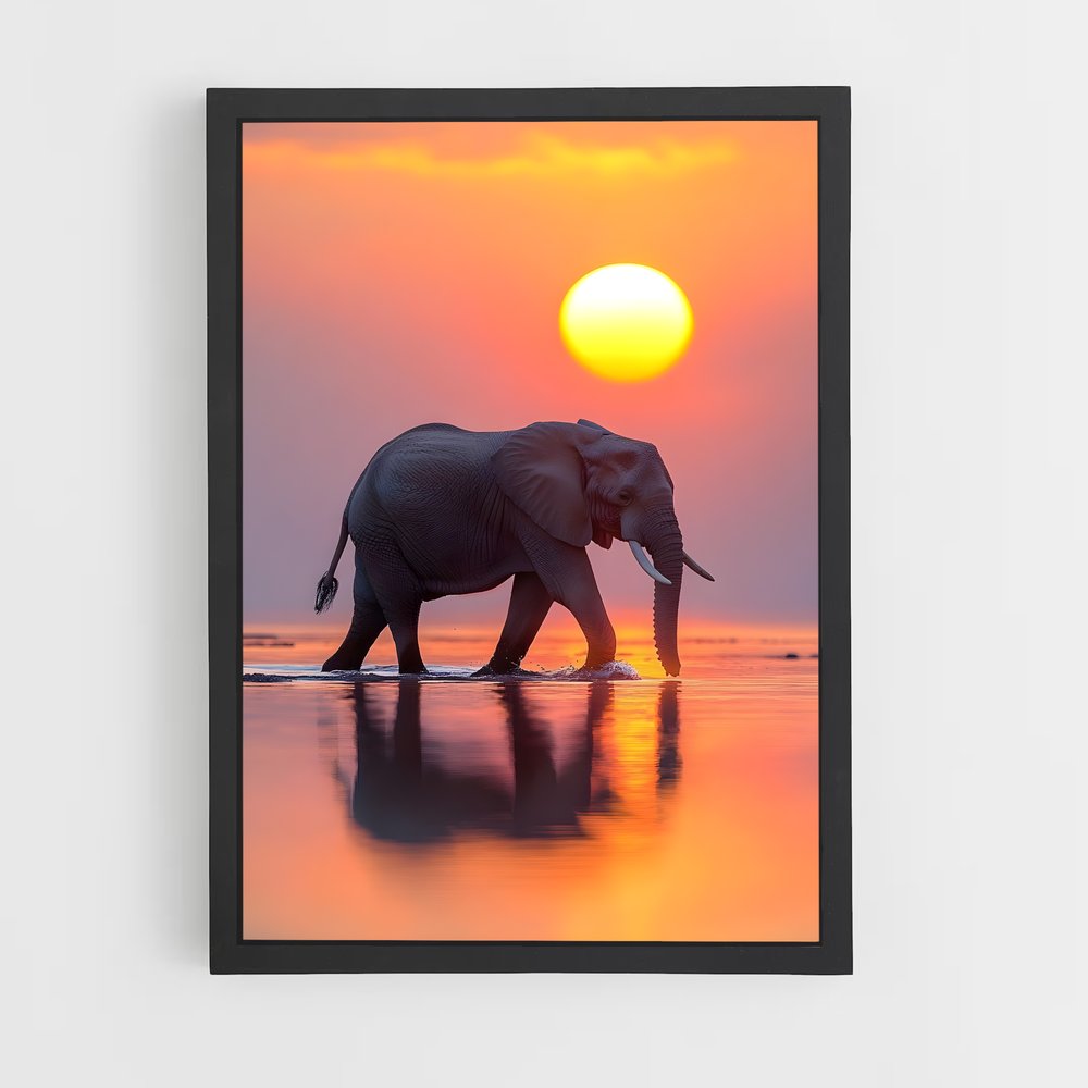 elephant-9 cadre Noir