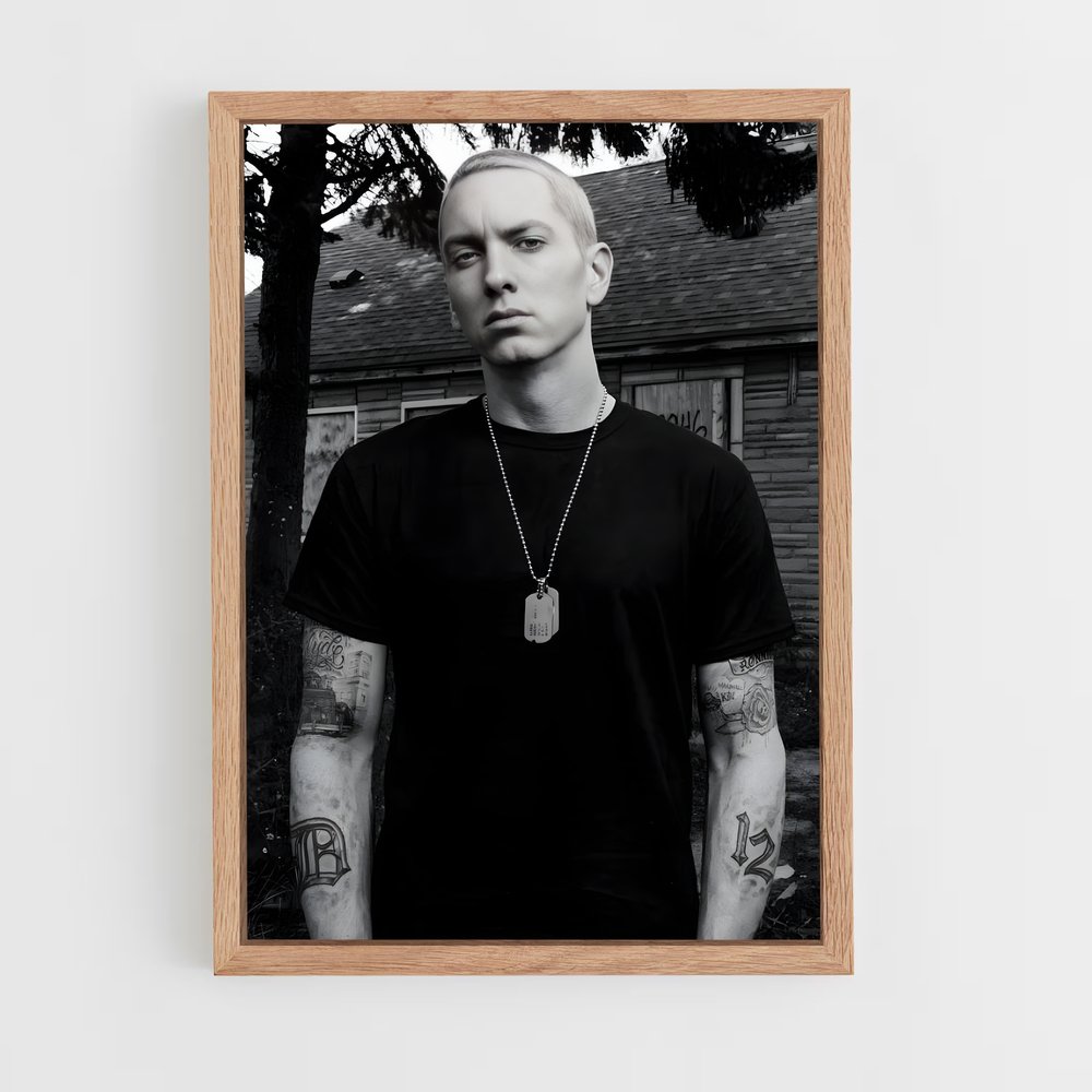 eminem-11 cadre Bois clair