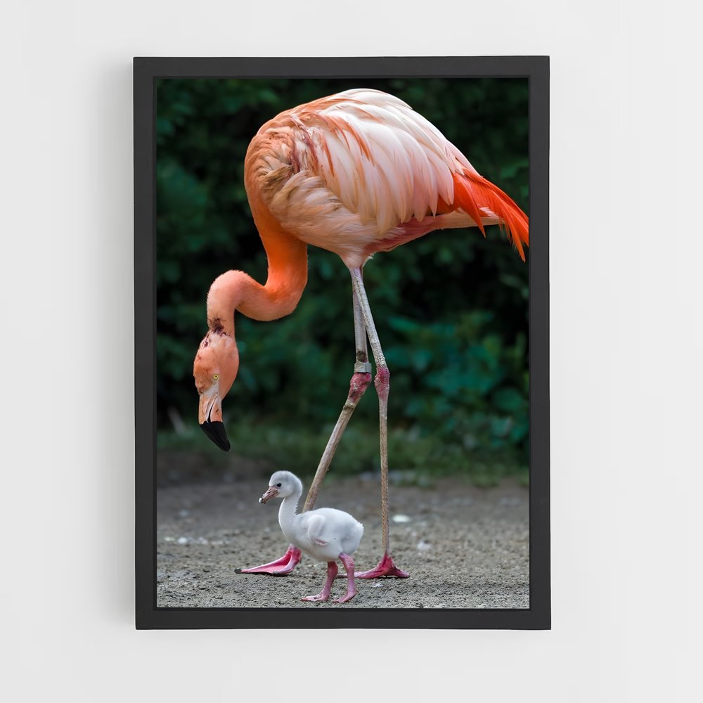 flamingo-1 cadre Noir