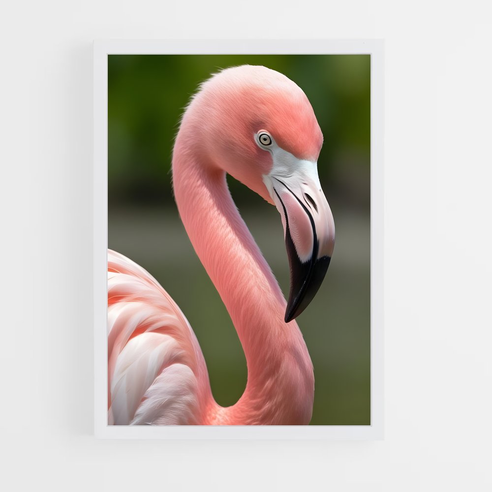 flamingo-3 cadre Blanc