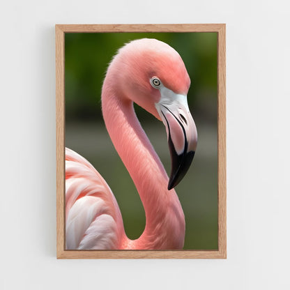 flamingo-3 cadre Bois clair