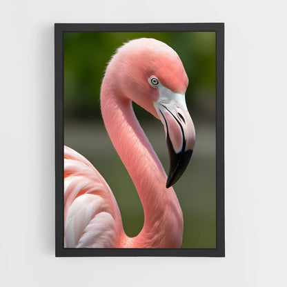 flamingo-3 cadre Noir