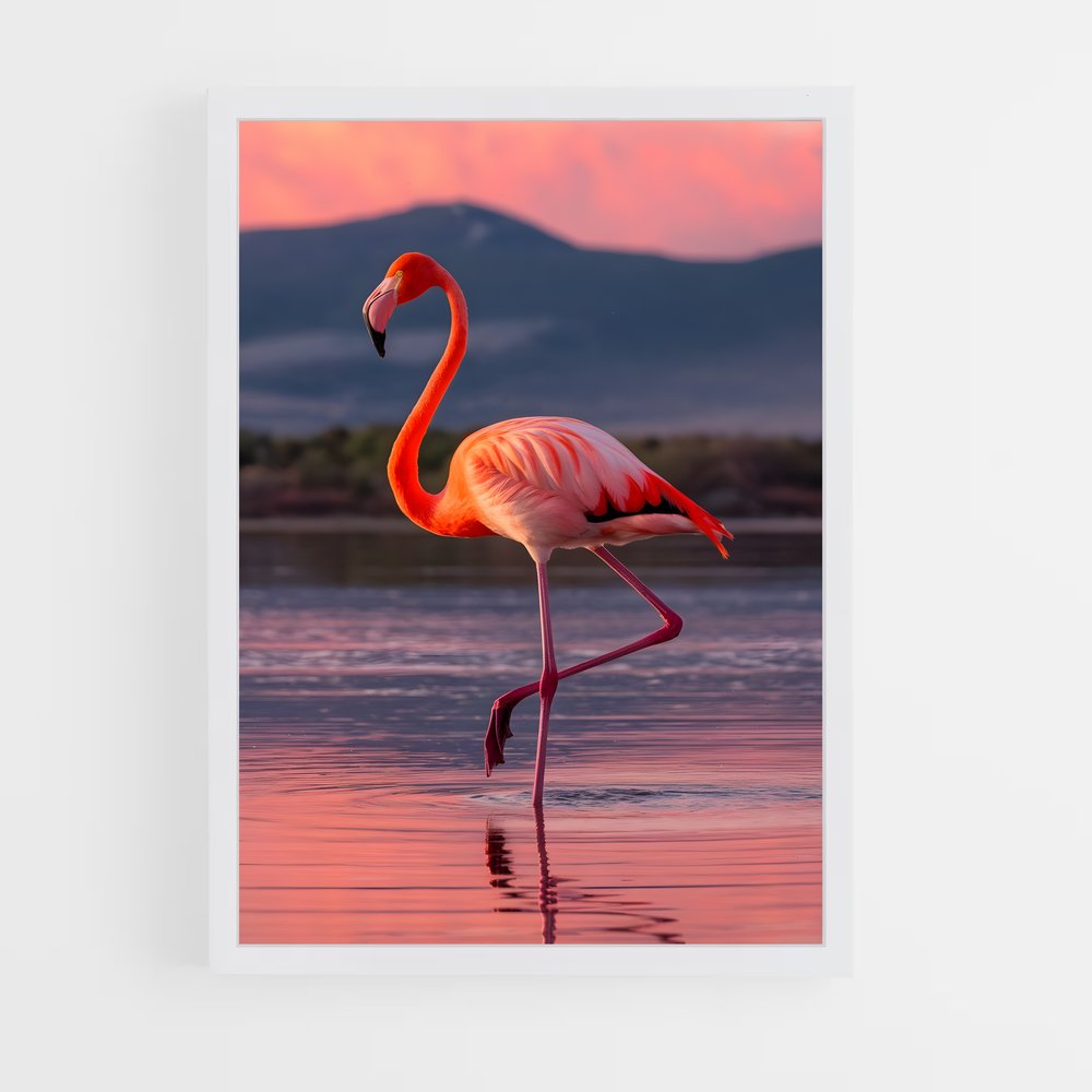 flamingo-8 cadre Blanc
