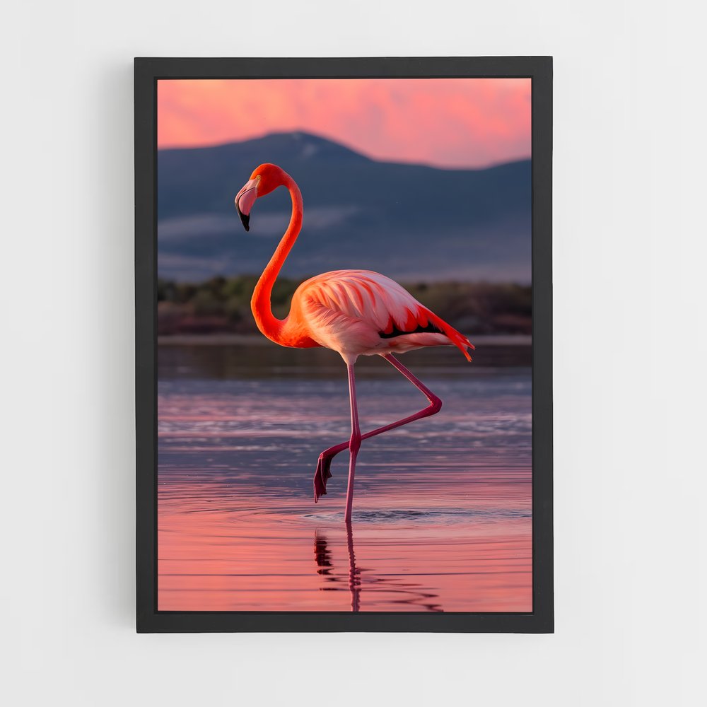 flamingo-8 cadre Noir