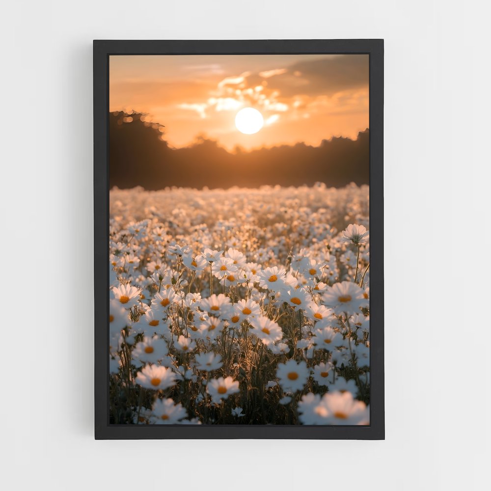 flower-10 cadre Noir