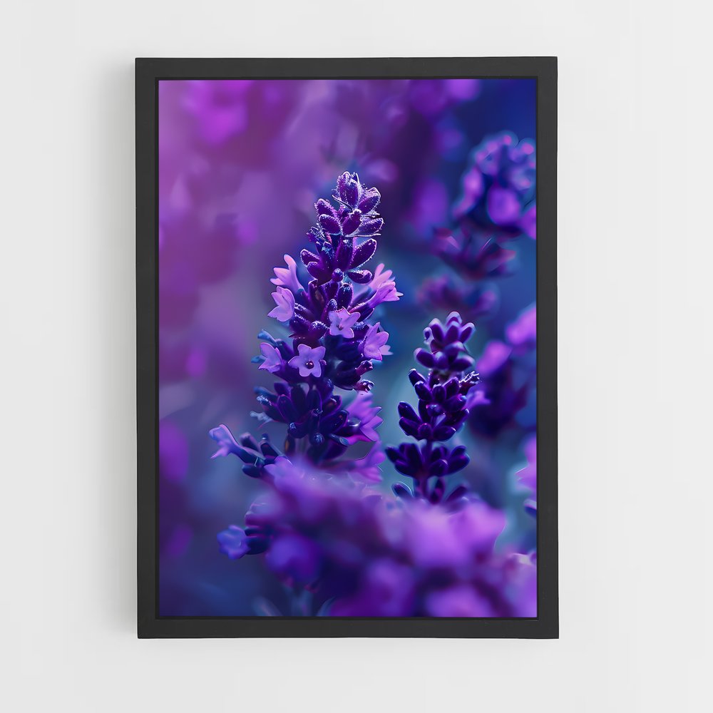 flower-11 cadre Noir