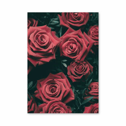 Spray Roses Poster Poster Scarlet Roses | Aesthetic Posters