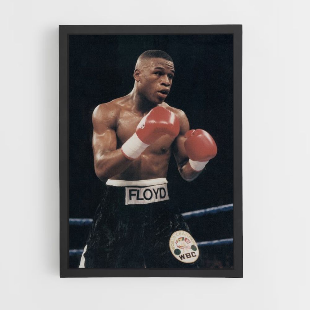 Poster Floyd