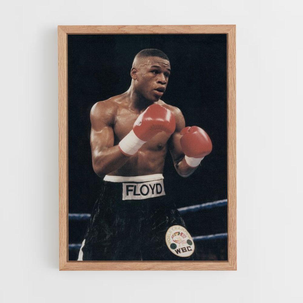 Poster Floyd