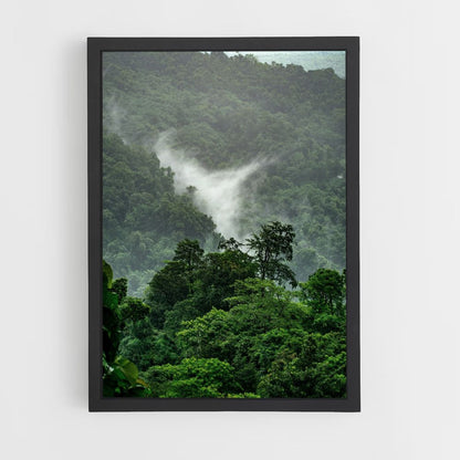 Tropical Forest Poster