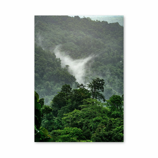 Tropical Forest Poster