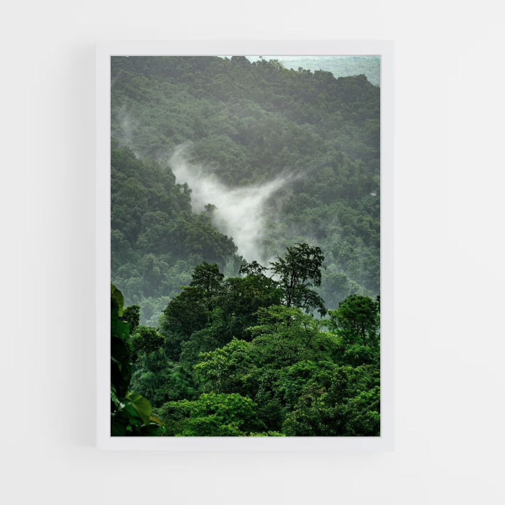 Tropical Forest Poster