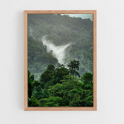 Tropical Forest Poster