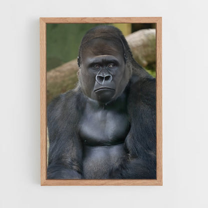 gorilla-7 cadre Bois clair