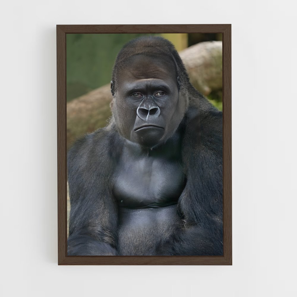 gorilla-7 cadre Bois foncé