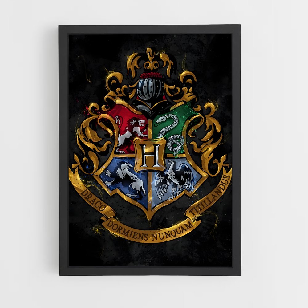 harry-potter-15 cadre Noir