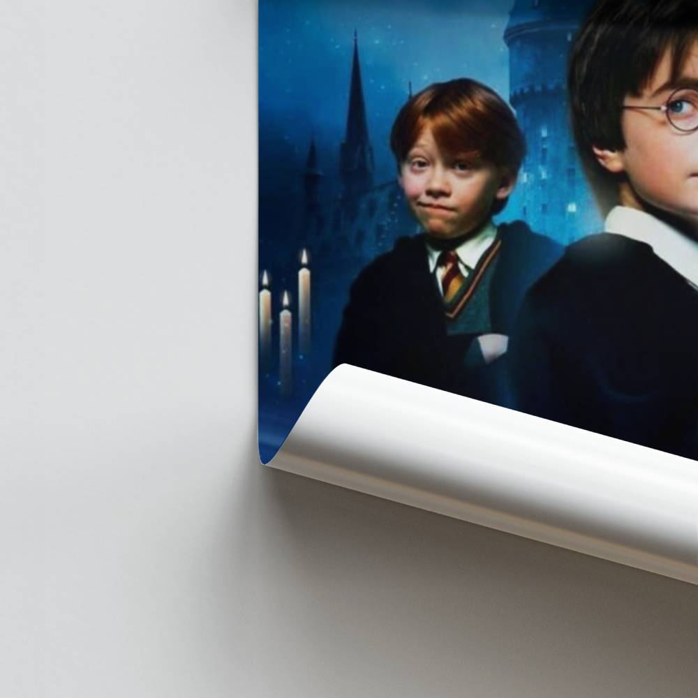 Poster Harry Ron Hermione