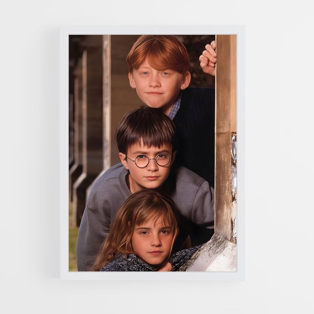 harry-potter-19 cadre Blanc