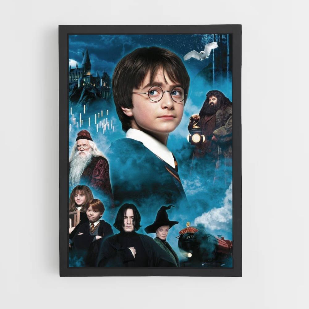 Harry Potter Characters Poster