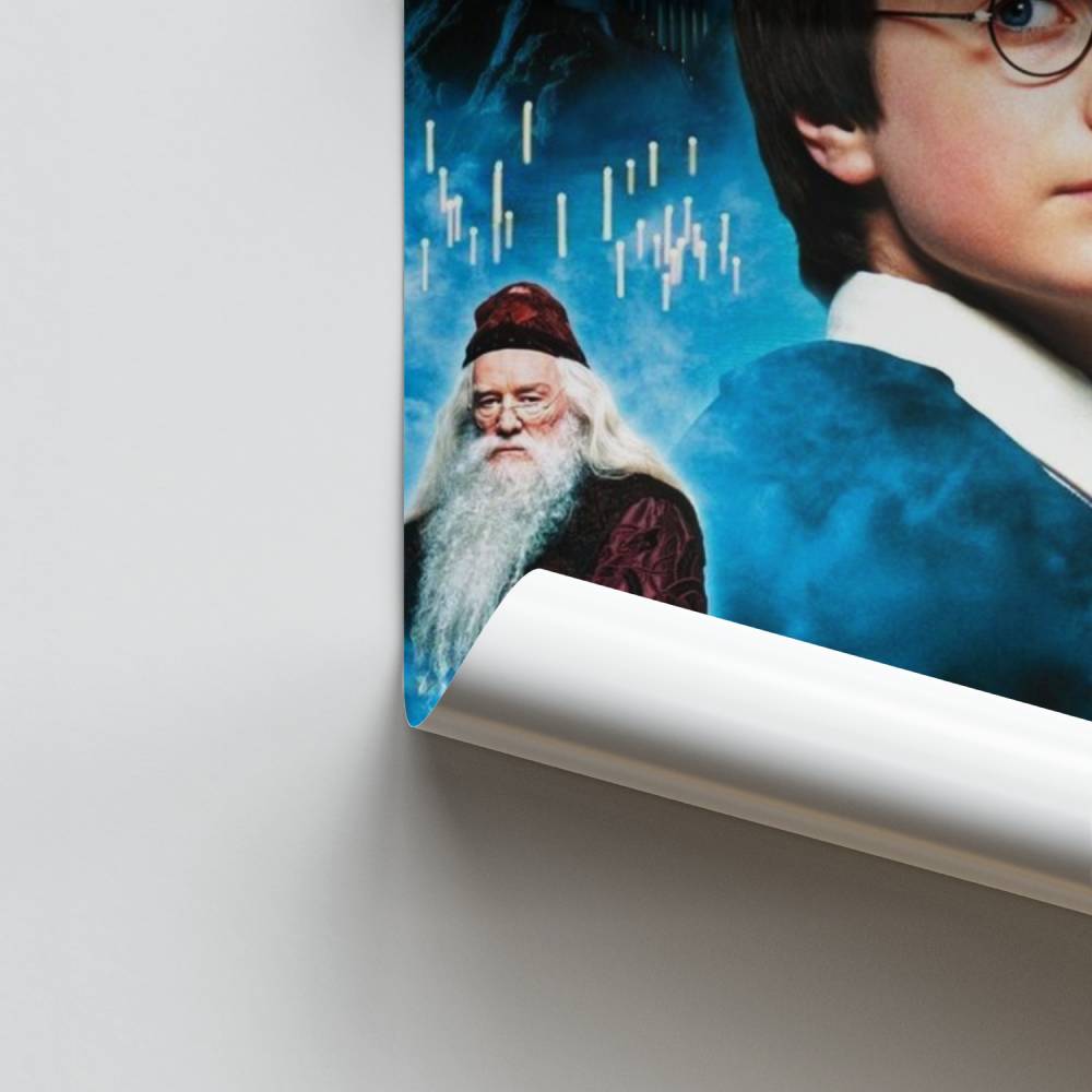 Harry Potter Characters Poster