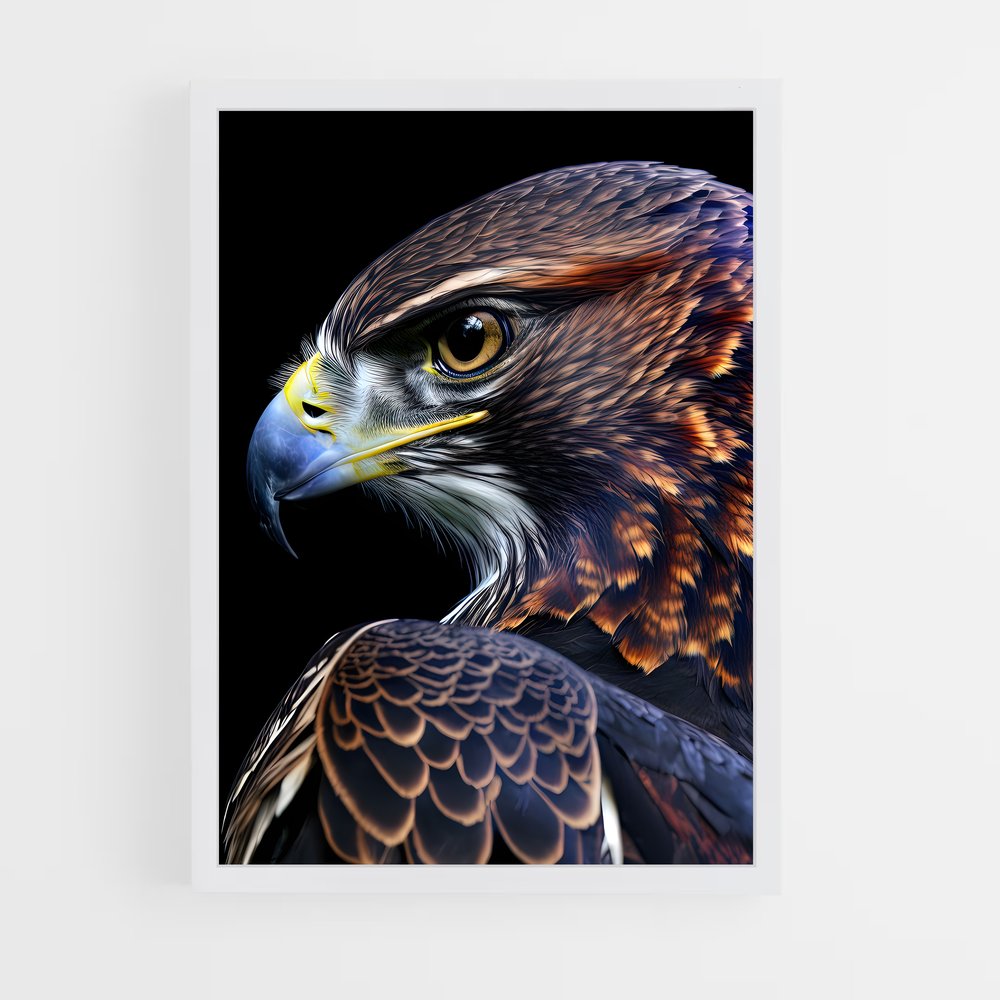 hawk-2 cadre Blanc