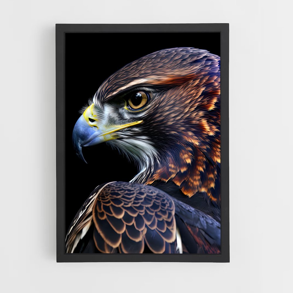 hawk-2 cadre Noir