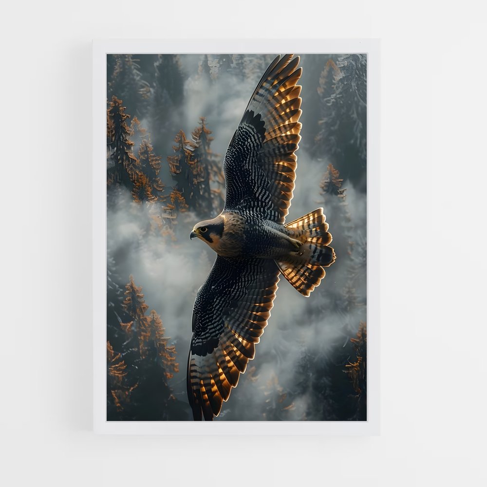hawk-4 cadre Blanc