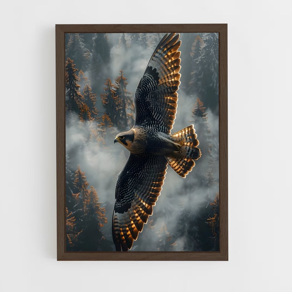 hawk-4 cadre Bois foncé