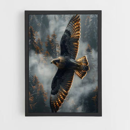 hawk-4 cadre Noir