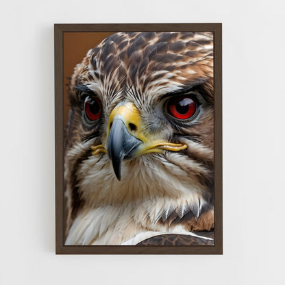 hawk-9 cadre Bois foncé