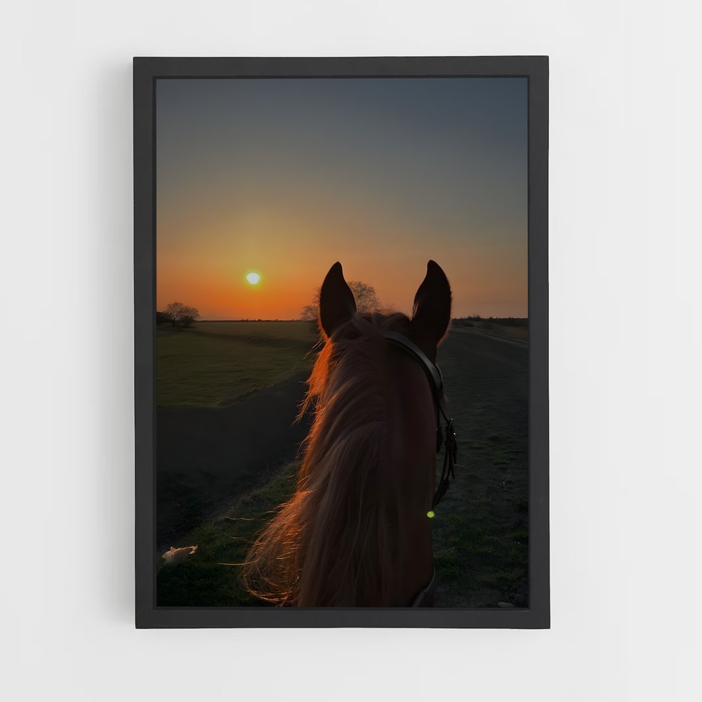 horse-2 cadre Noir